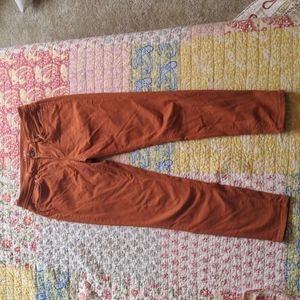 Ann Taylor Curvy Skinny 6 Reg